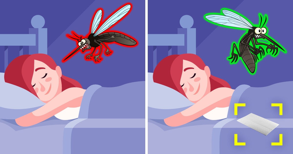 12 Hacks to Wipe Your Daily Struggles Once and for All