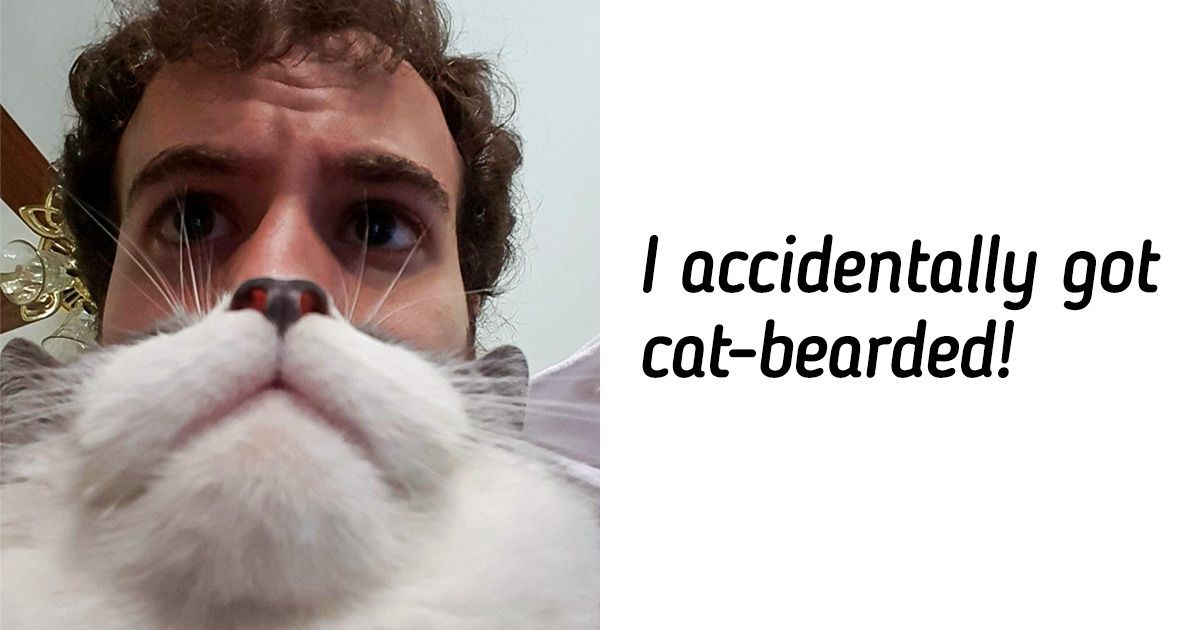 17 People Who Were Lucky to Have Their Camera Ready at Just the Right Moment 17 People Who Were Lucky to Have Their Camera Ready at Just the Right Moment