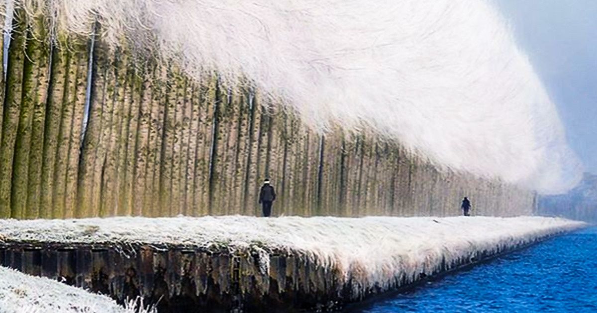 15+ Pictures That Capture the Magic of Winter Like a Scene From a Frozen Fairyland