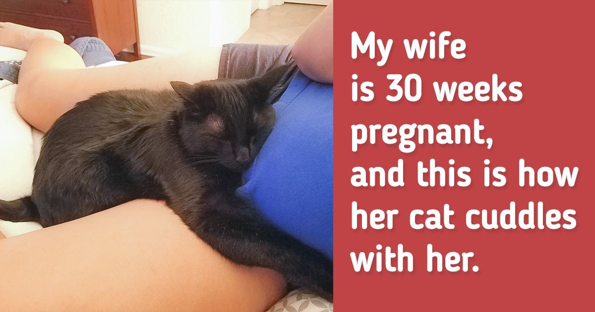 20 Pics That Prove Our Pets Are Angels Gifted to Us From Heaven
