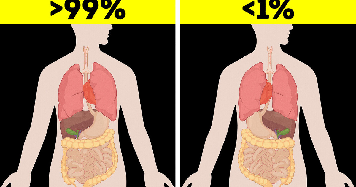 28 Body Facts That Will Change How You See Yourself