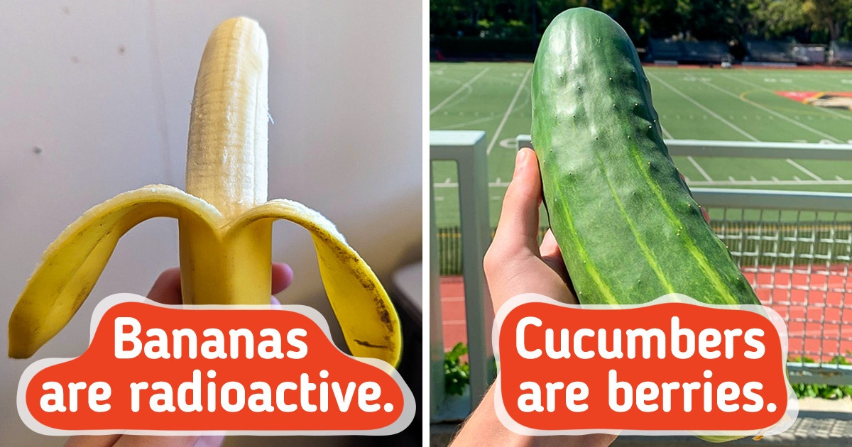 10 Surprising Facts About Ordinary Things We See Everyday