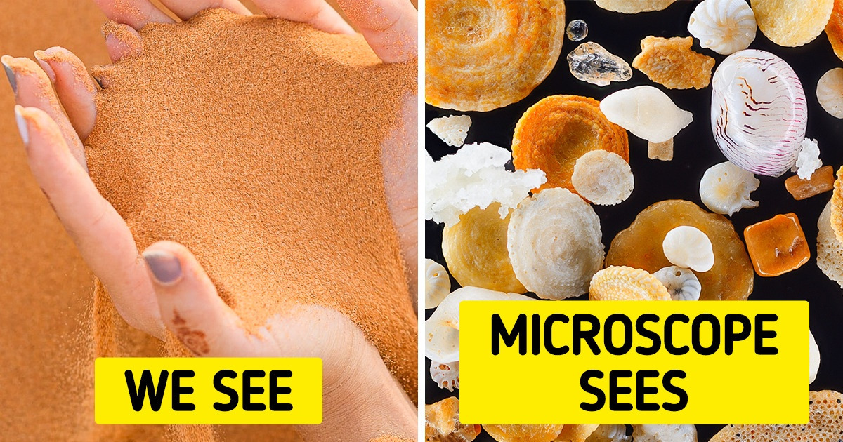 20 Ordinary Things That You’ve Probably Never Seen This Way Before 20 Ordinary Things That You’ve Probably Never Seen This Way Before
