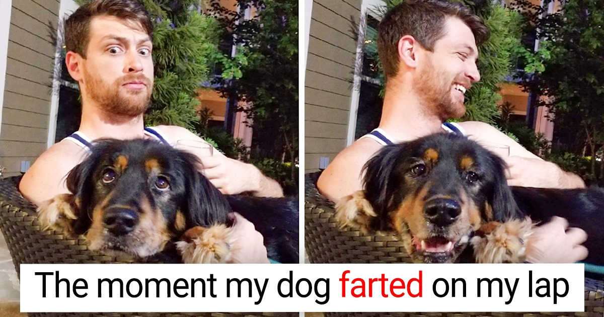 14 Photos Taken at the Best Moment Ever 14 Photos Taken at the Best Moment Ever