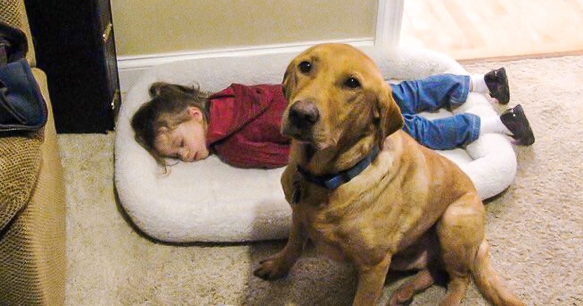19 Pics That Prove Every Child Is a Wonder