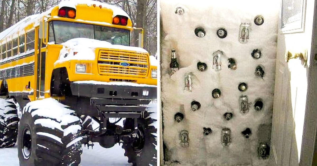 31 Photos Showing That Canadians Cope with Life on a Completely Different Level