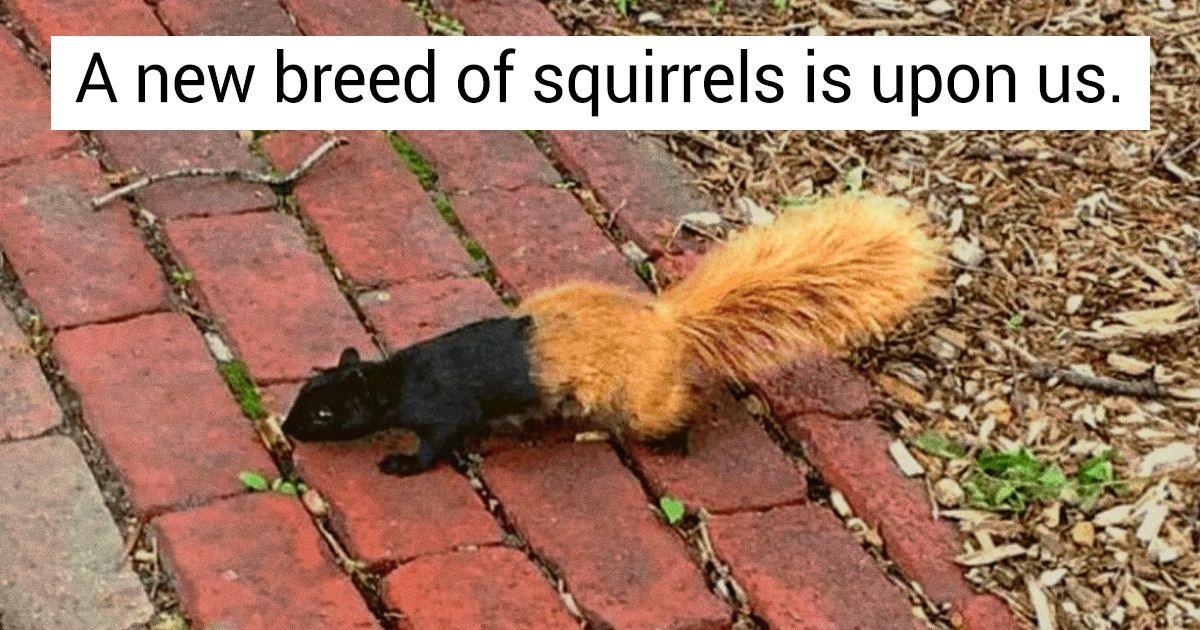 20+ Photos of Animals That Made Us Rub Our Eyes 20+ Photos of Animals That Made Us Rub Our Eyes