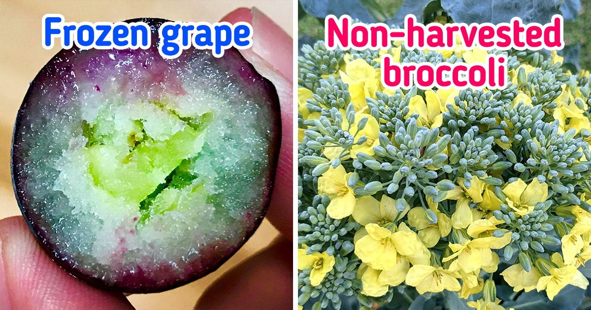 19 Pics Proving It’s the Little Things That Surprise Us the Most