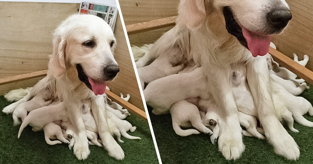 15 People Who Were Surrounded by Oddly Interesting Things