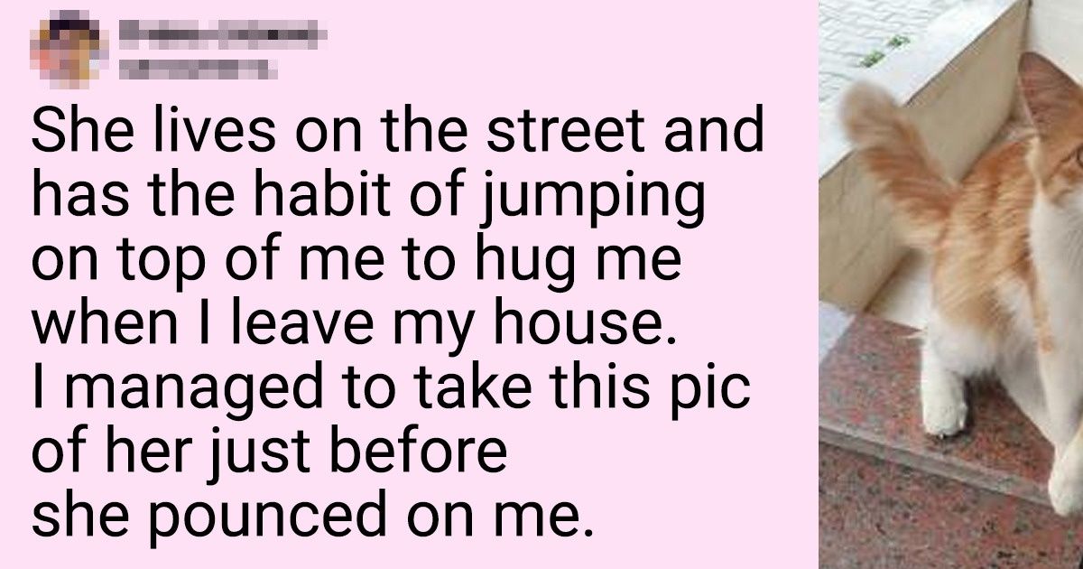 17 Pet Stories That Remind Us How Great It Is to Have Them Around