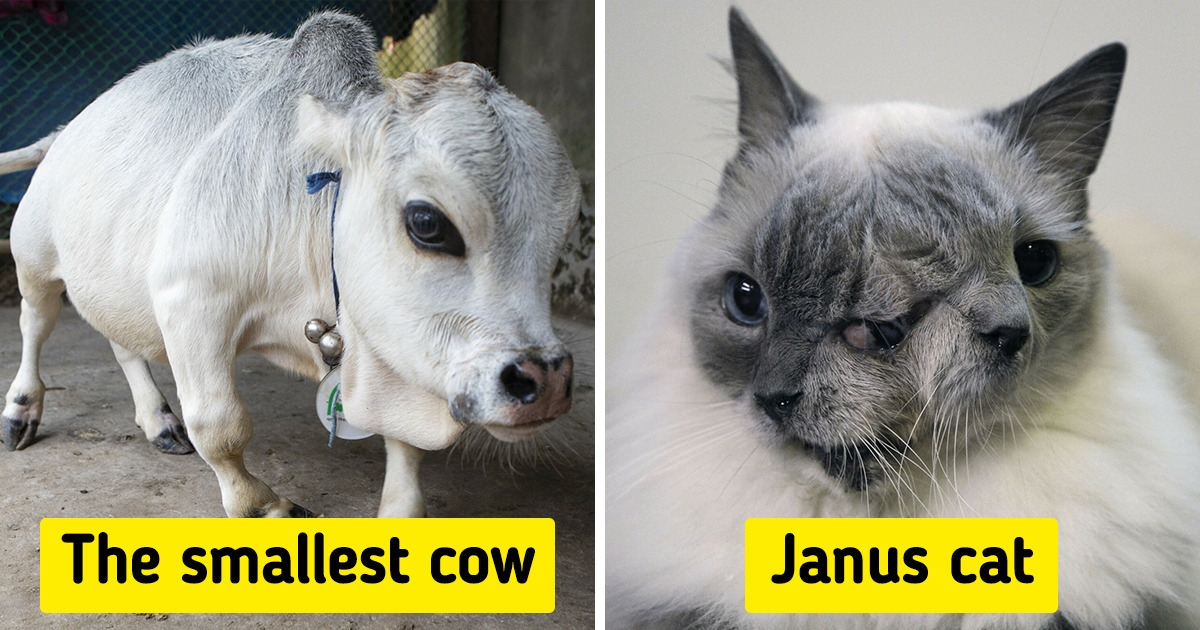 15 Pics Proving That Nature’s Surprise Box is Bottomless