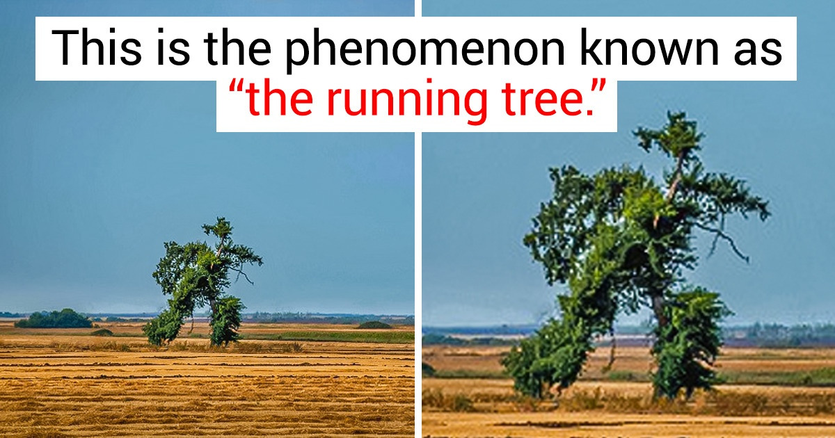 18 Photos That Remind Us Life Is Still Full of Curiosities