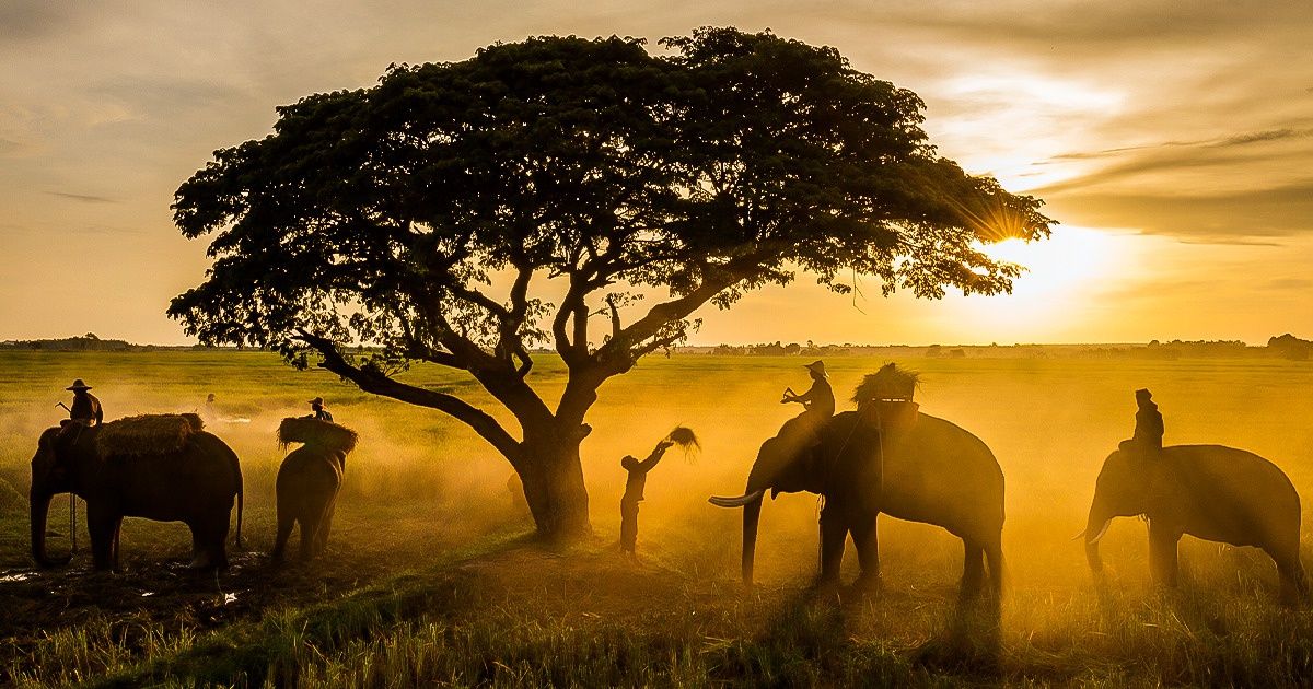 The Boys in the rural Thailand. Photographer SUTIPOND SOMNAM