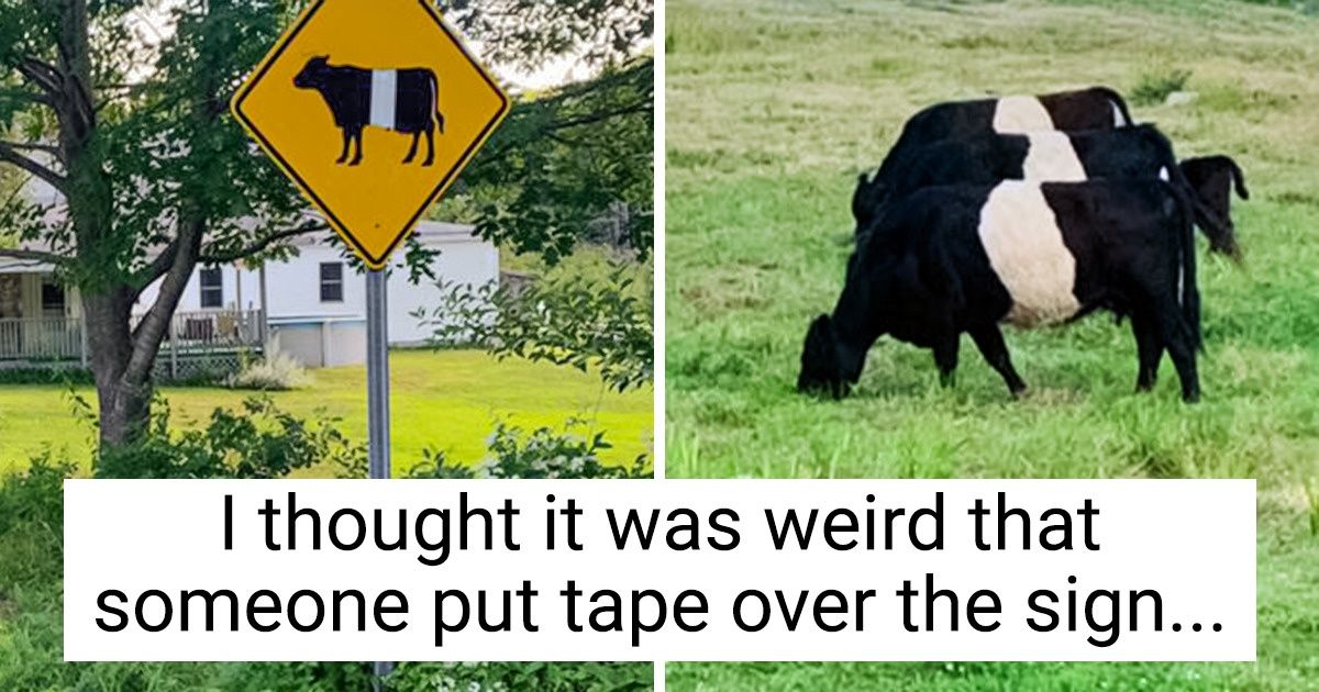 20 Times When Someone’s Creativity and Sense of Humor Created a Little Masterpiece