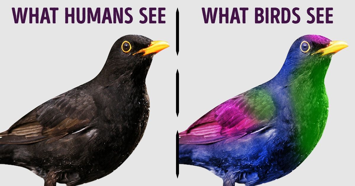 20 Gripping Facts That’ll Make You Jump Out of Your Chair 20 Gripping Facts That’ll Make You Jump Out of Your Chair