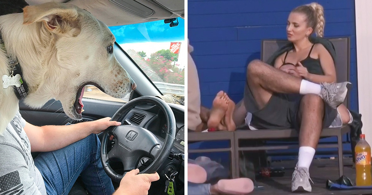 15+ Photos That Redefined the Concept of Perfect Timing