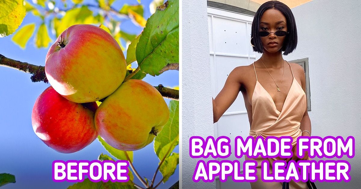 Companies Now Make Leather From Apple Peels, and Some Products Are Jaw-Dropping Companies Now Make Leather From Apple Peels, and Some Products Are Jaw-Dropping