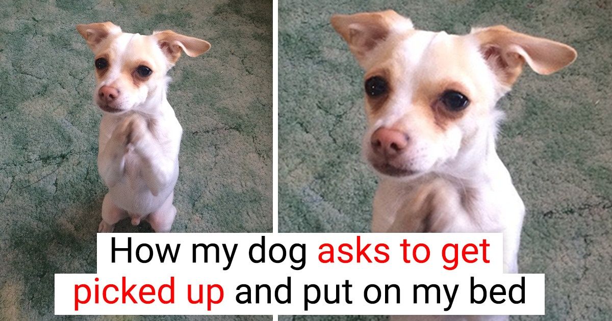 18 Pics That Can Fill Your Cup of Happiness