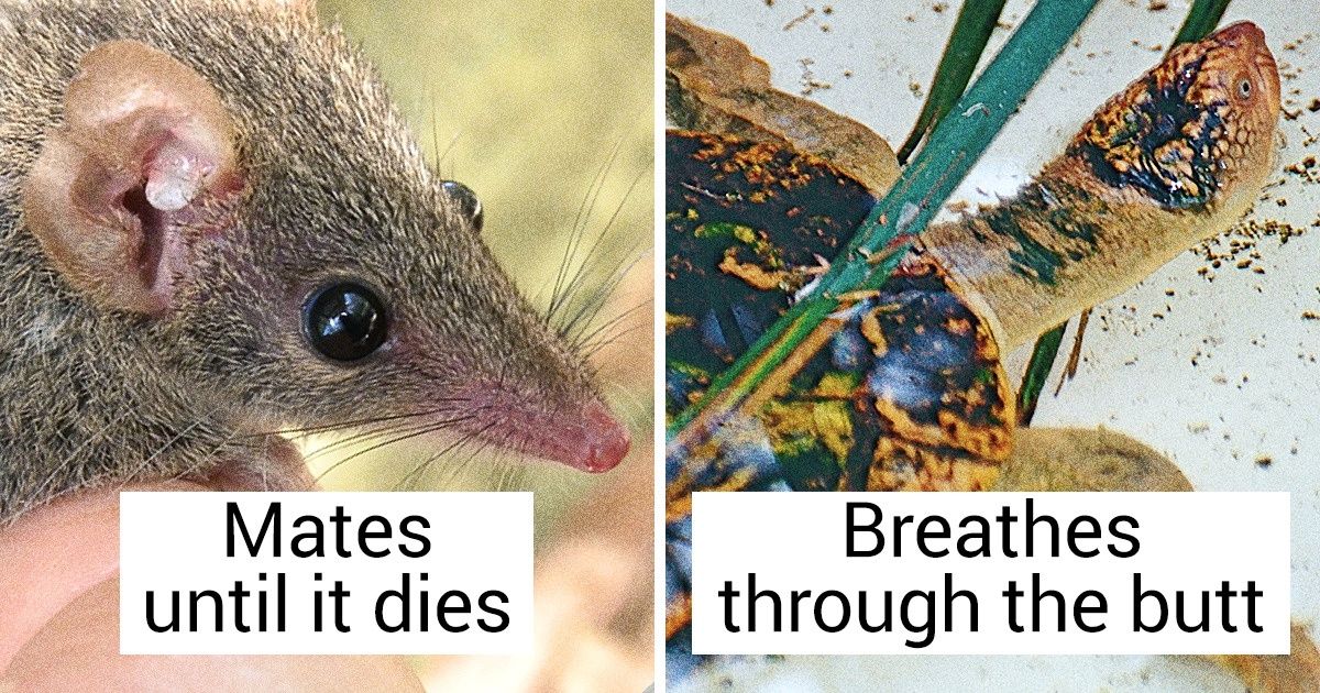 10+ Facts That May Challenge Everything You Know About the World