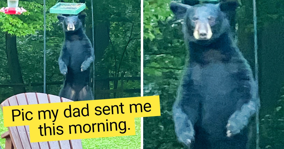 17 People Who Are Not Afraid of Any Trouble