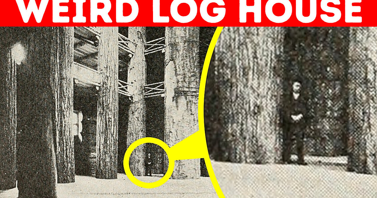 The Lost World’s Biggest Log Cabin: What Happened to It? The Lost World’s Biggest Log Cabin: What Happened to It?