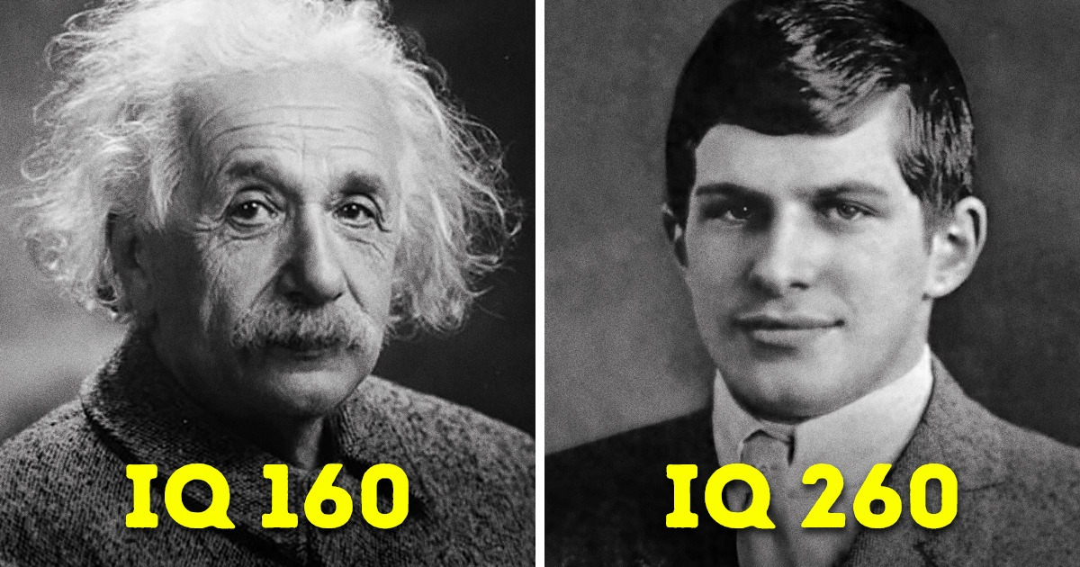 The Story of the Smartest Man Who Ever Lived and Why You Haven't