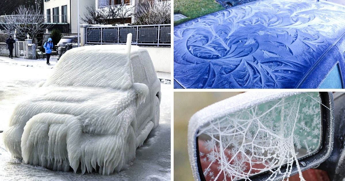 12 Freezing Photos That Prove Winter Is a True Challenge