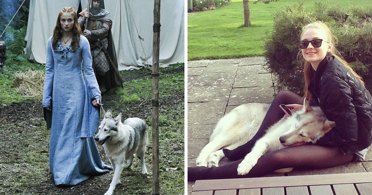 7 Celebrities Who Fell in Love With Their Animal Co-Stars So Much They Refused to Be Separated