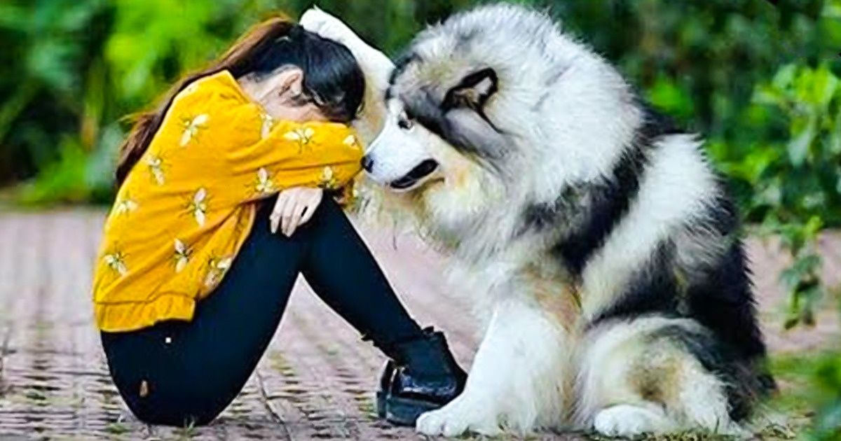 23 Reasons Why Dogs Are the Best Things in This World