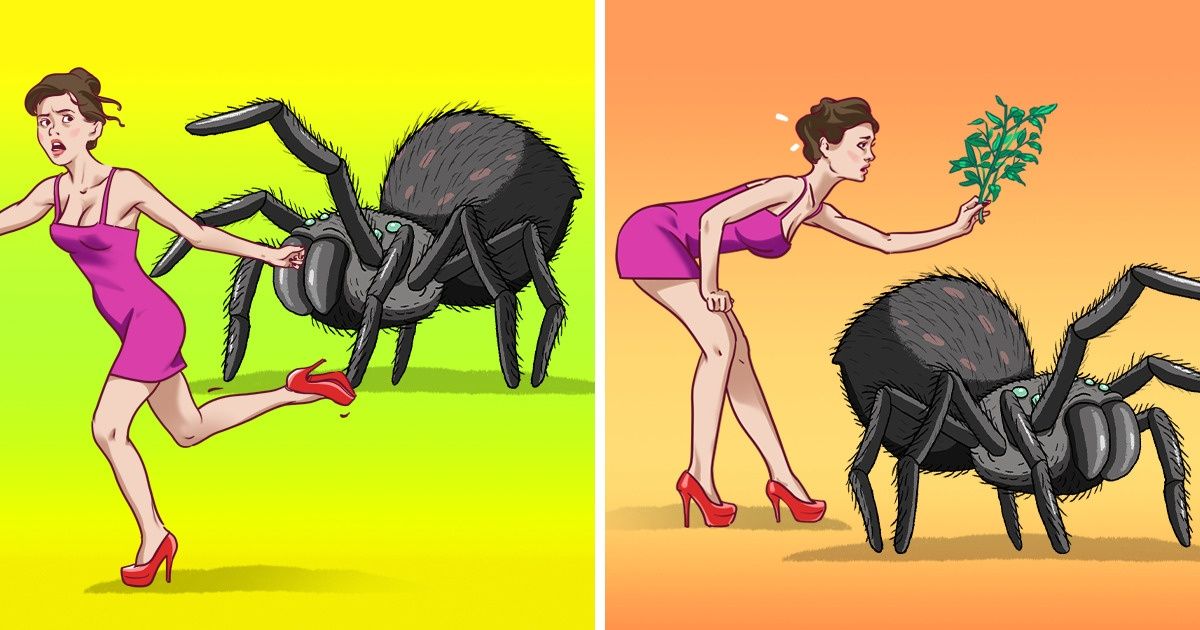 9 Ways to Keep Spiders and Insects Out of Your House