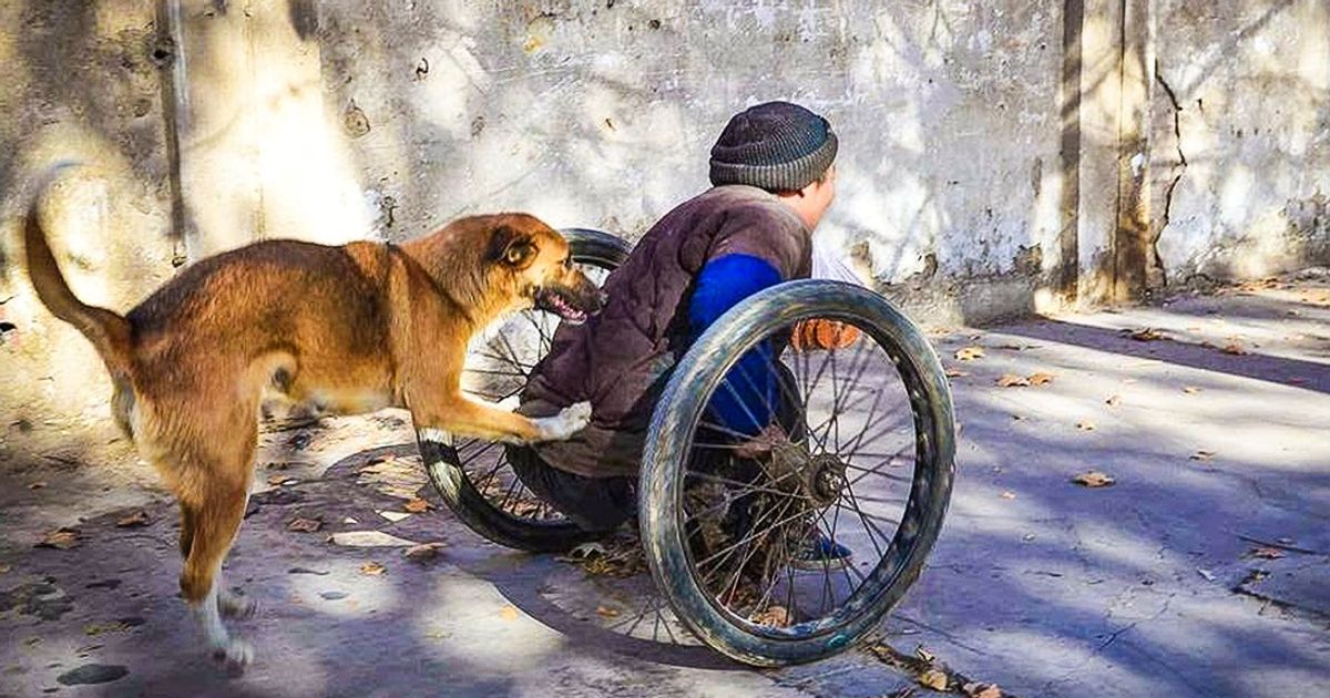 10+ True Heroes That Make Our World a Better Place