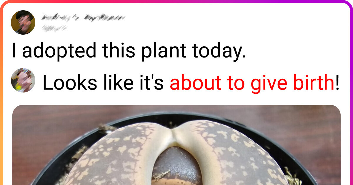 12 Times Nature Reminded Us How Mind-Bending It Can Be