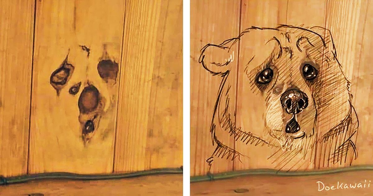 20 Pictures That Prove We Can See Faces and Shapes Anywhere 20 Pictures That Prove We Can See Faces and Shapes Anywhere