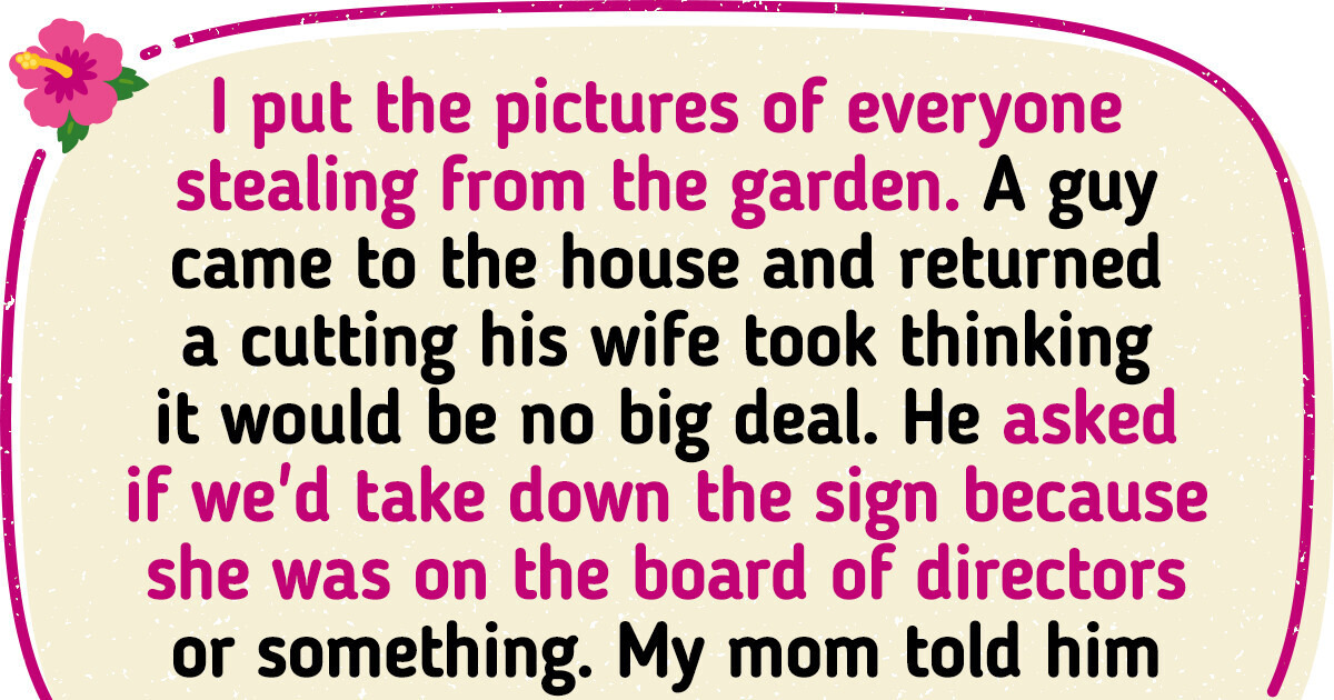Neighbors Were Stealing From My Mother’s Garden So I Taught Them a Lesson Neighbors Were Stealing From My Mother’s Garden So I Taught Them a Lesson