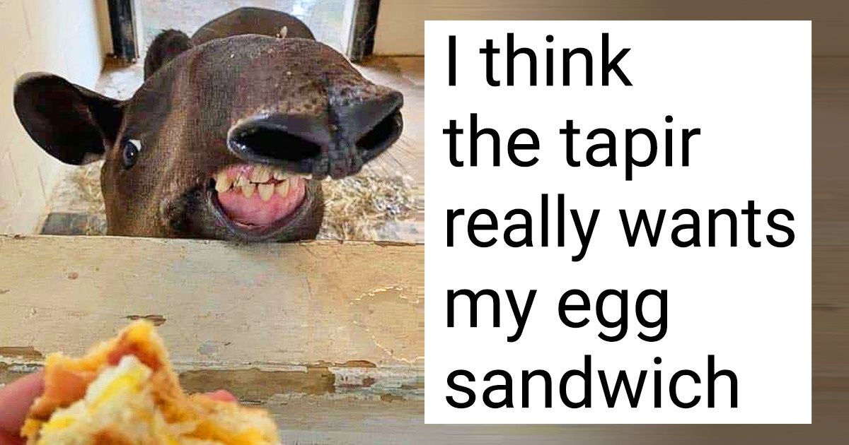 20 Animals Who Know How to Strike a Pose 20 Animals Who Know How to Strike a Pose