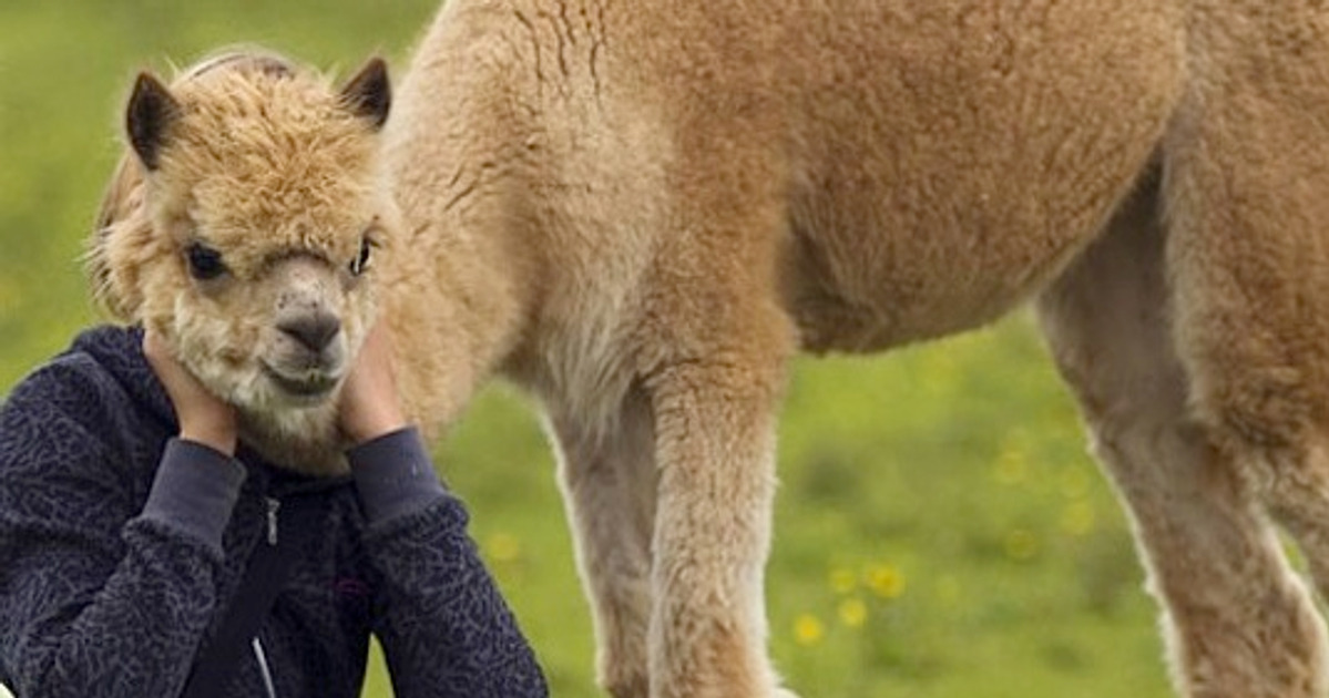 10+ Seriously Unpredictable Photos That Will Make You Laugh