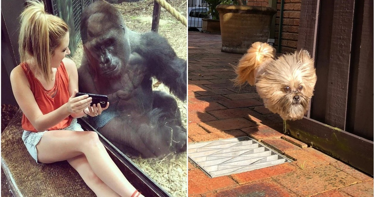 13 Unique Photos That Required Perfect Timing