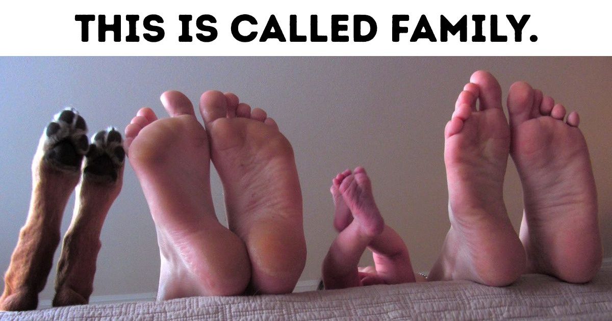 24 Warm Photos That Prove Family Is the Best Thing on Earth 24 Warm Photos That Prove Family Is the Best Thing on Earth