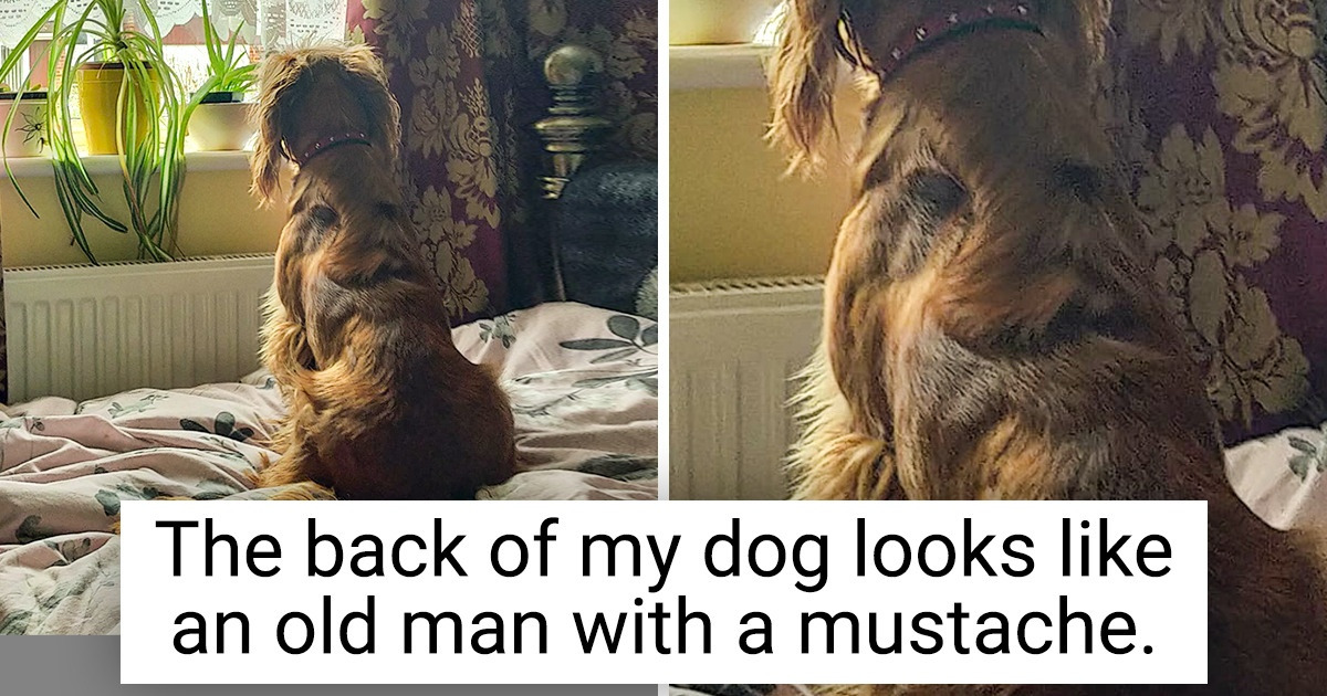15 Photos Showing the World Is Full of Incredible Things, We Just Need to Look Closer