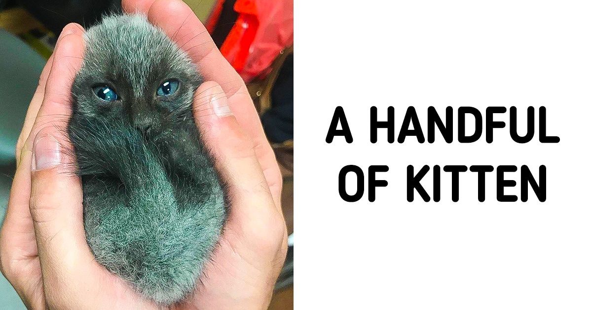 20+ Photos That Can Relieve Your Stress Without Pills