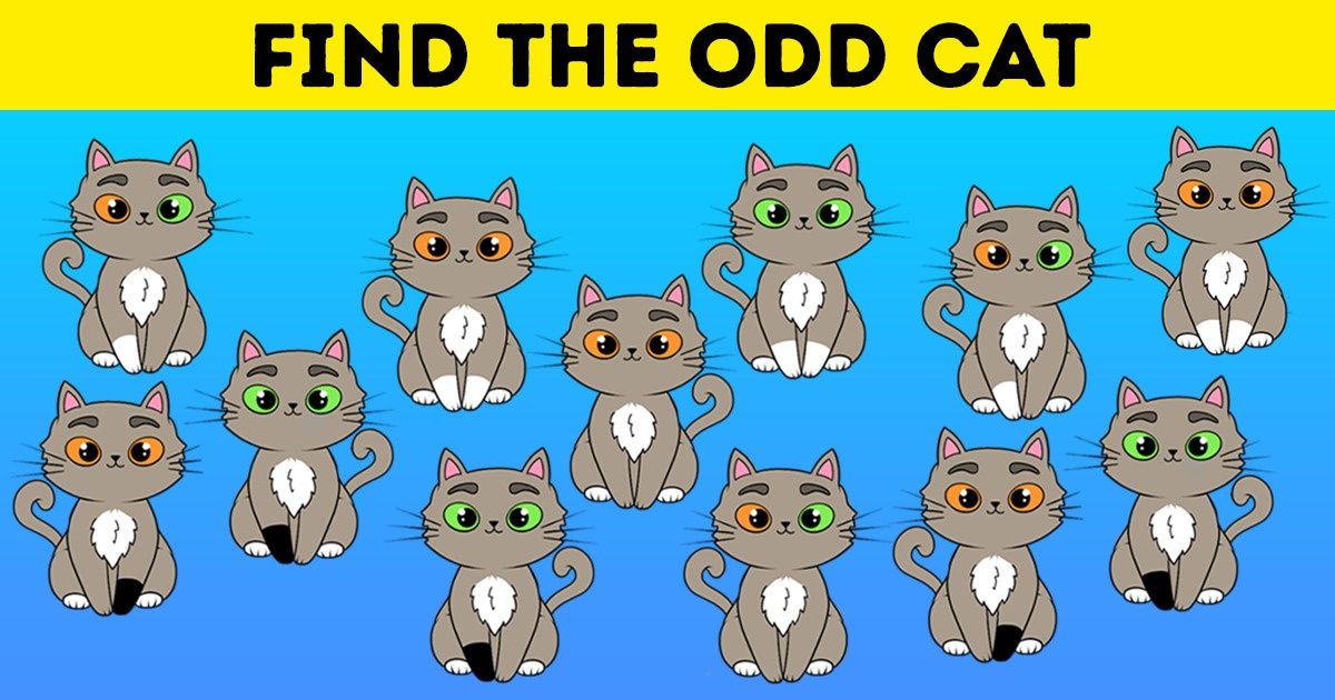 Challenge: Spot the Odd One Out in 15+ Pictures in Less Than 2 Minutes