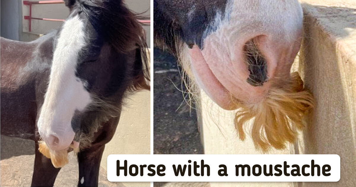 20 Amusing Pics That Will Replace Your Morning Coffee 20 Amusing Pics That Will Replace Your Morning Coffee