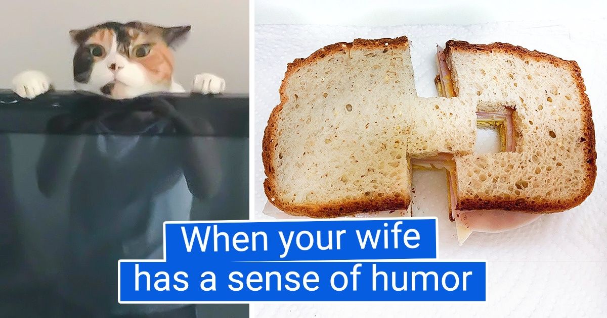 20 Times Family Life Turned Out to Be More Thrilling Than Expected