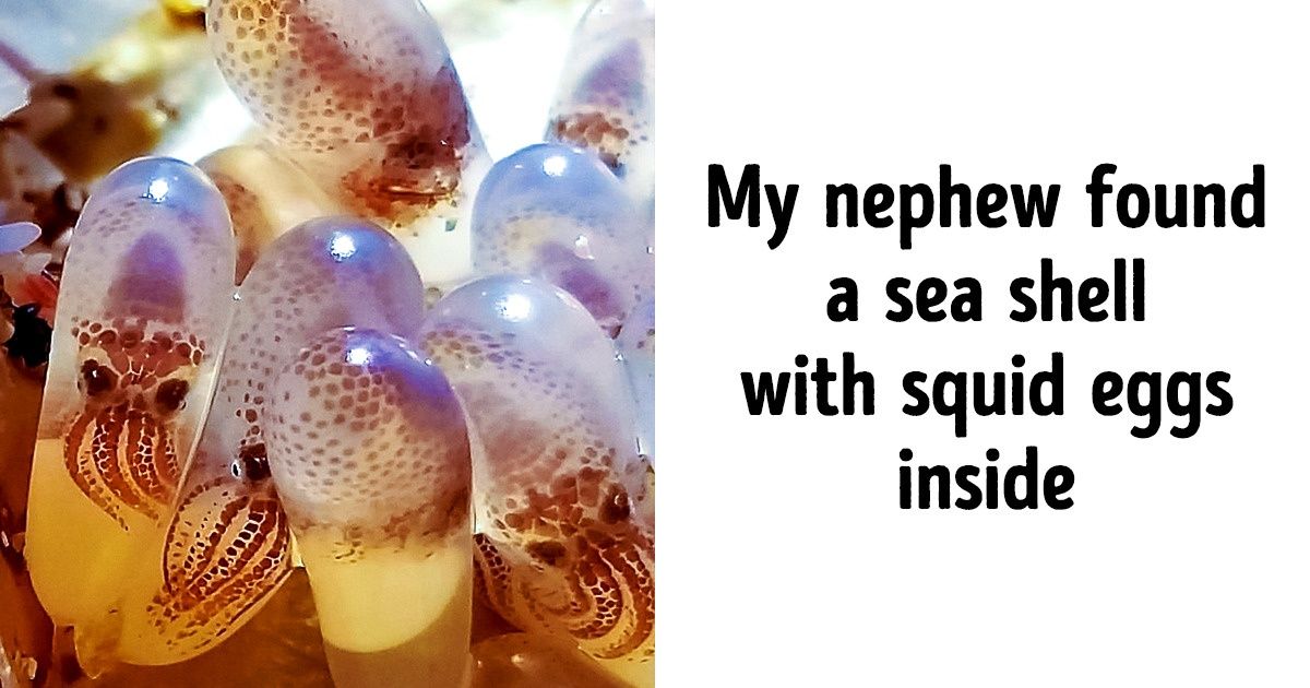 15 Things That Were Hiding Deep Secrets, but People Cracked Them Anyway 15 Things That Were Hiding Deep Secrets, but People Cracked Them Anyway