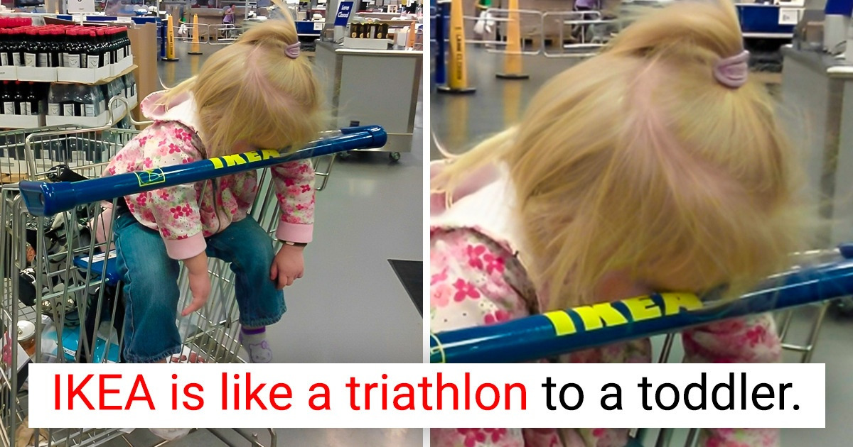 15 People Who Managed to Catch Just the Right Moment