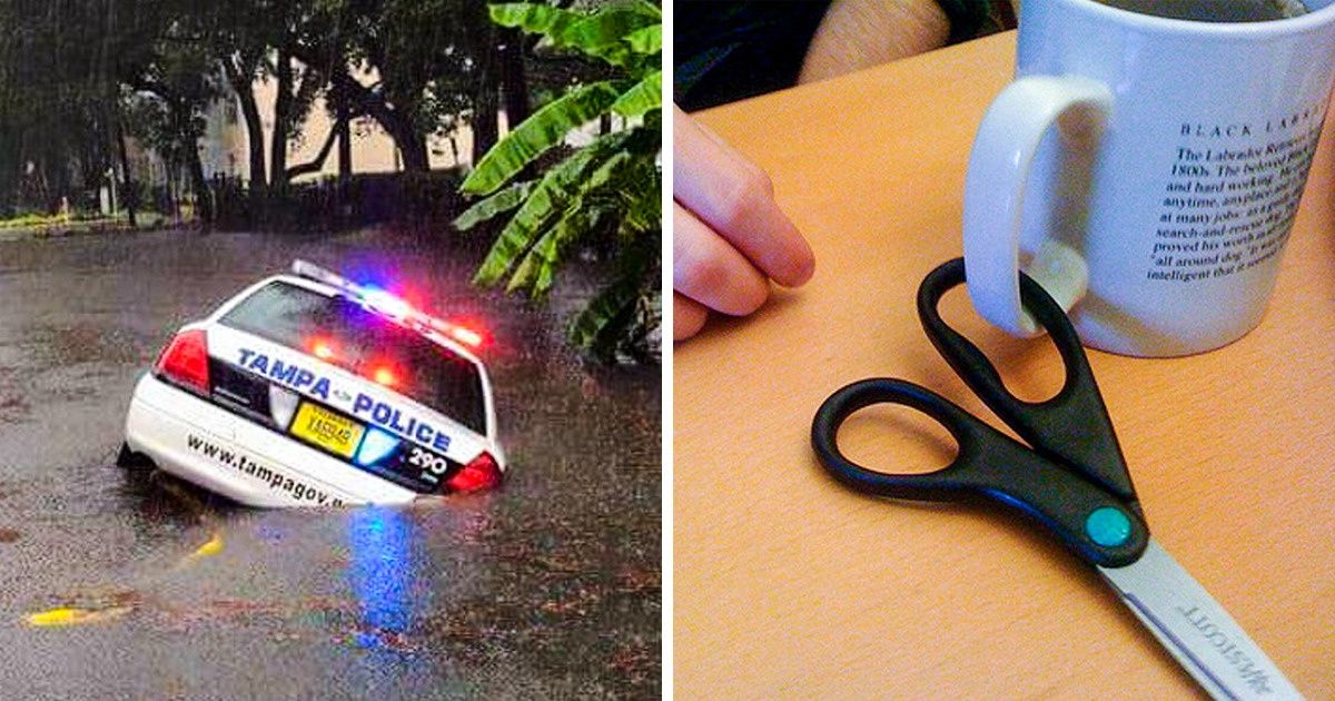 17 Photos We Need a Handbook to Understand