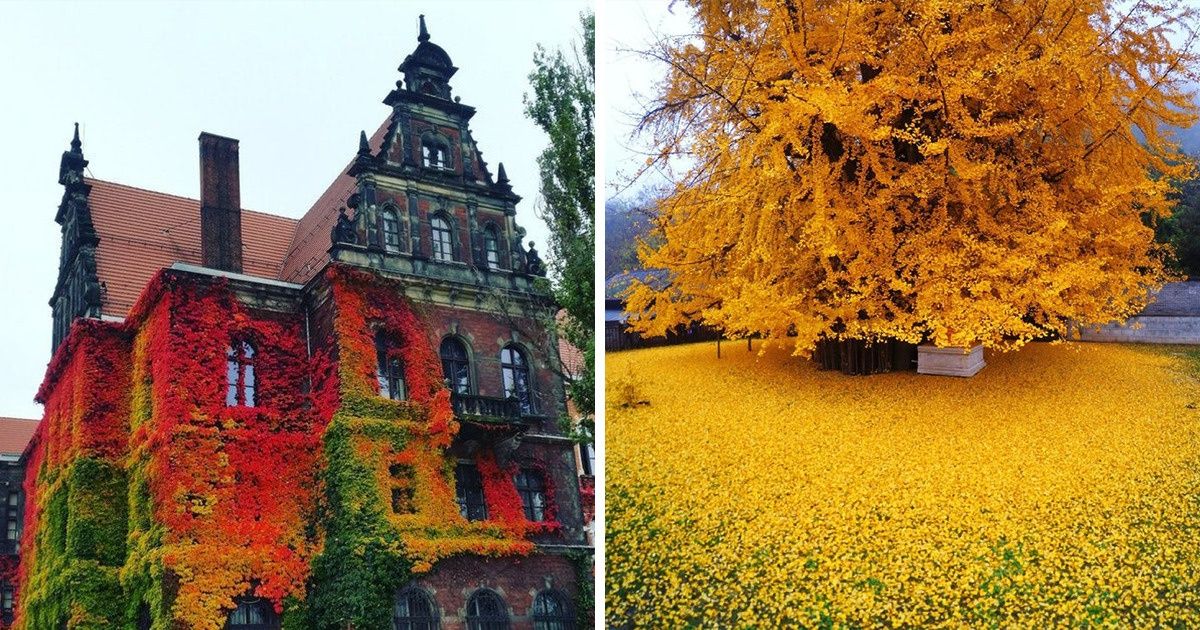 People Show What Fall Looks Like Around the World