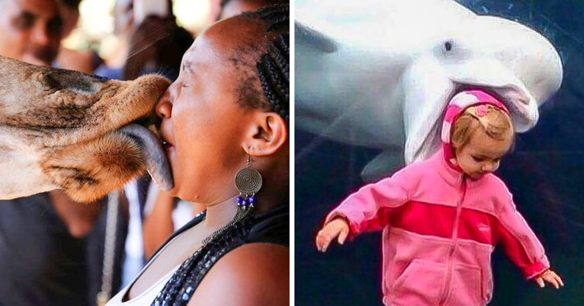 25 Photos Proving That the Right Moment Is Essential for a Good Picture