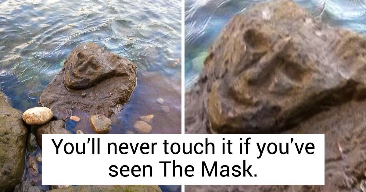 17 People Who Don’t Waste a Second to Snap a Cool Photo