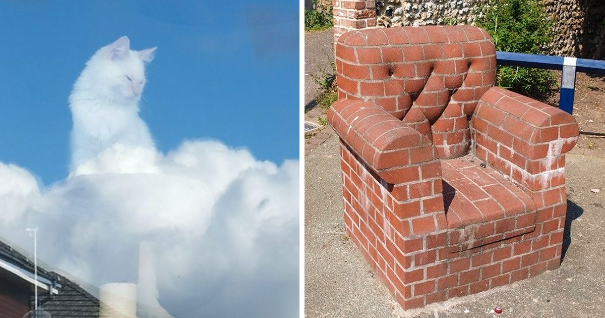 15+ Tricky Illusions That Can Take You More Time to Crack Than You Ever Expected